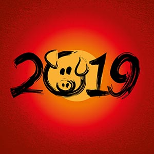 Mailing 02-2019 Logo Chinese Newyear